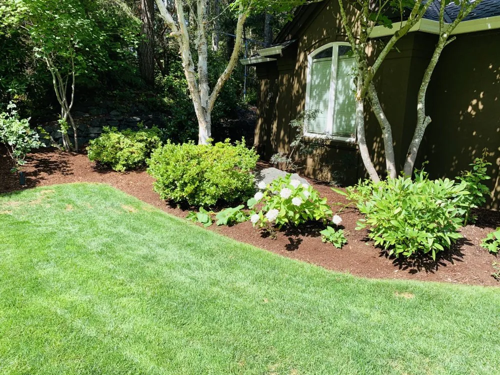 Expert lawn care service for residential properties across University Place, WA - Salazar’s Landscaping
