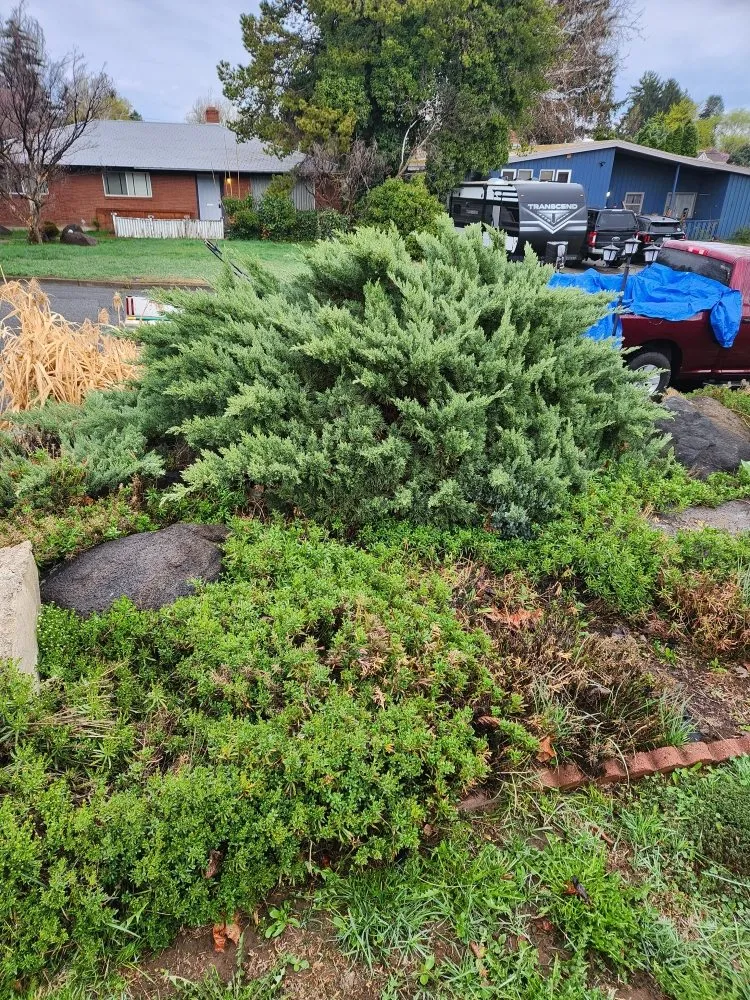 Reliable landscape design experts serving Yakima, WA - Salazar's Lawn Care