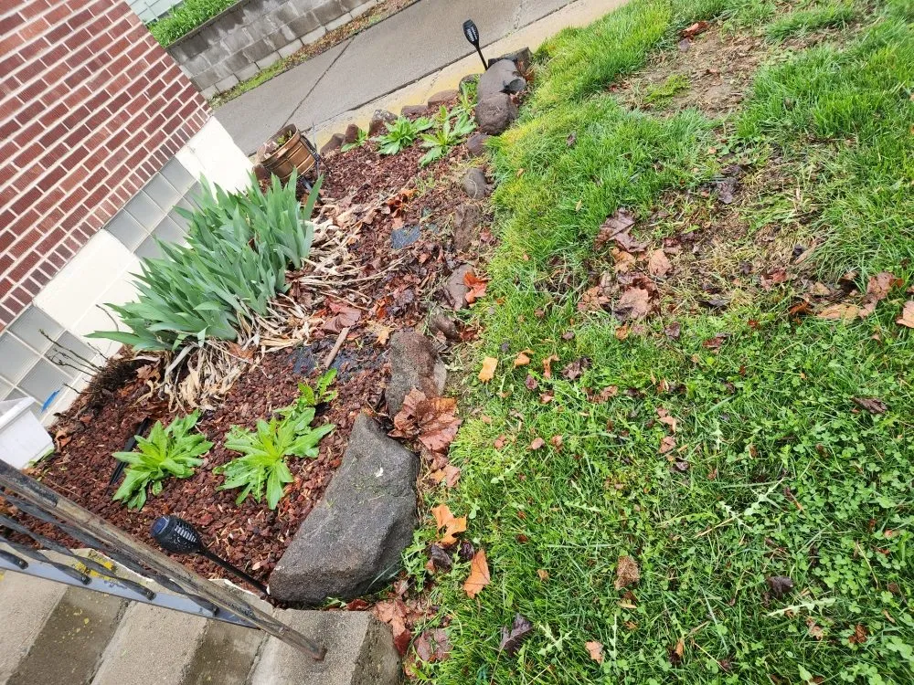 Reliable yard cleanup service near you across Yakima, WA - Salazar's Lawn Care