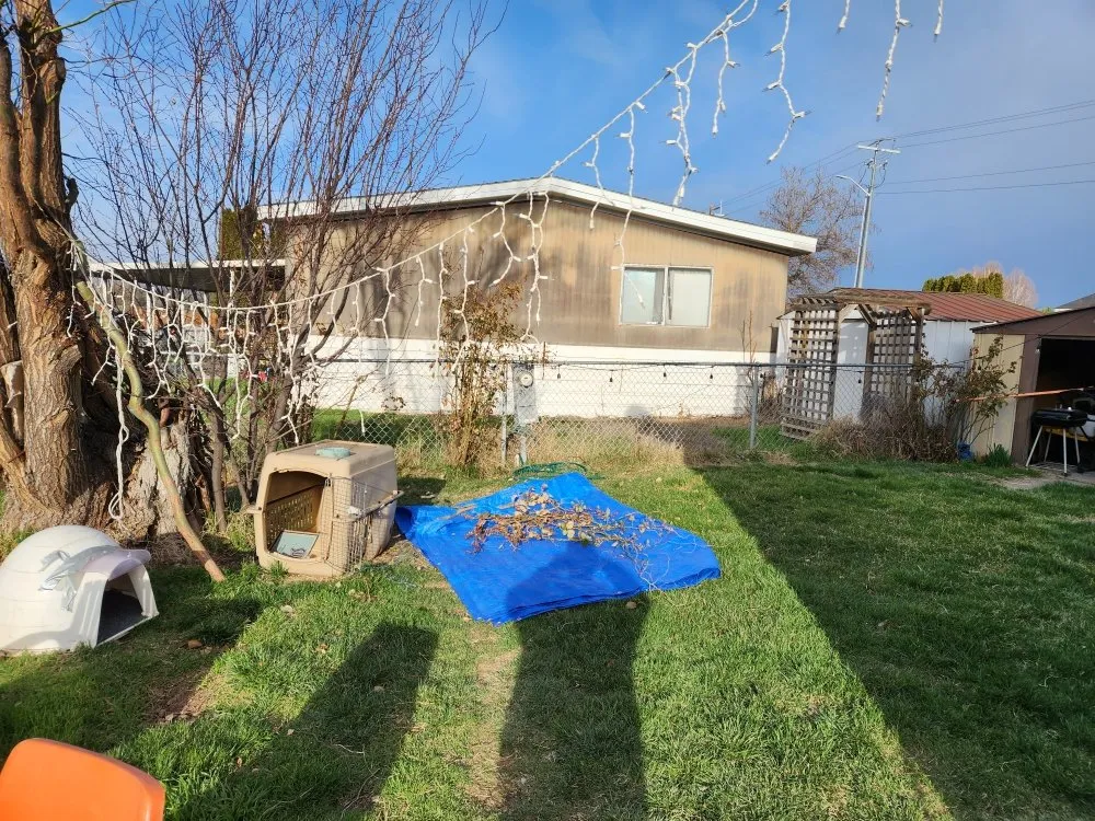 Reliable lawn mowing service in Yakima, WA by Salazar's Lawn Care