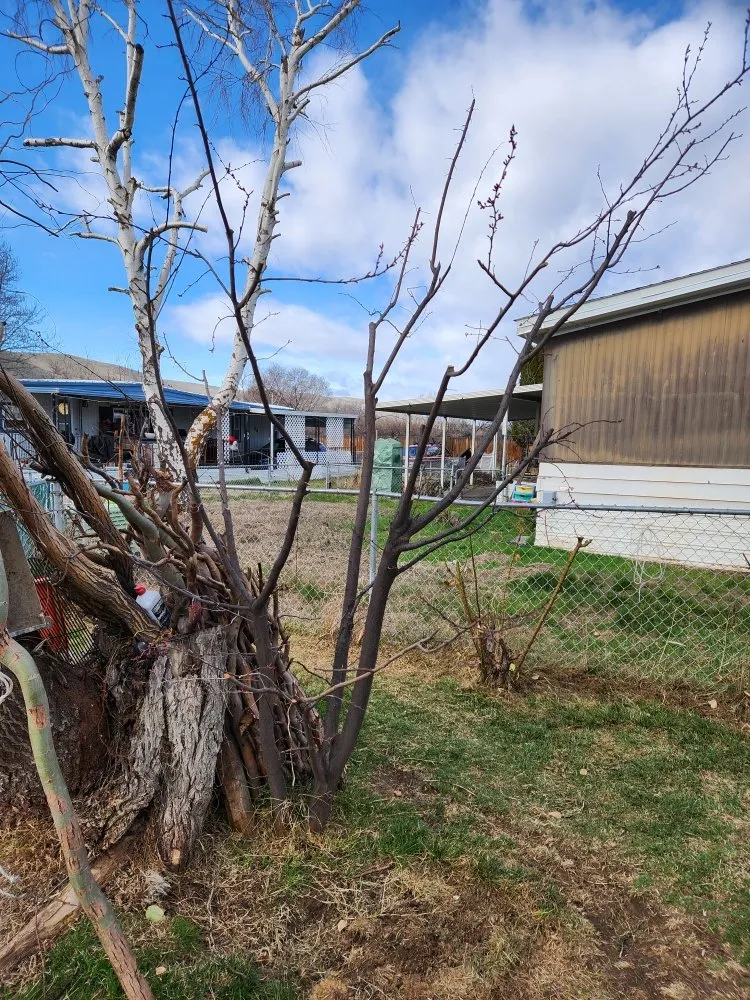 Reliable lawn care service for residential properties across Yakima, WA - Salazar's Lawn Care