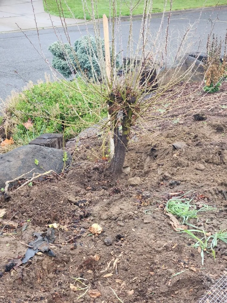 Reliable outdoor landscaping for outdoor upgrades in Yakima, WA by Salazar's Lawn Care