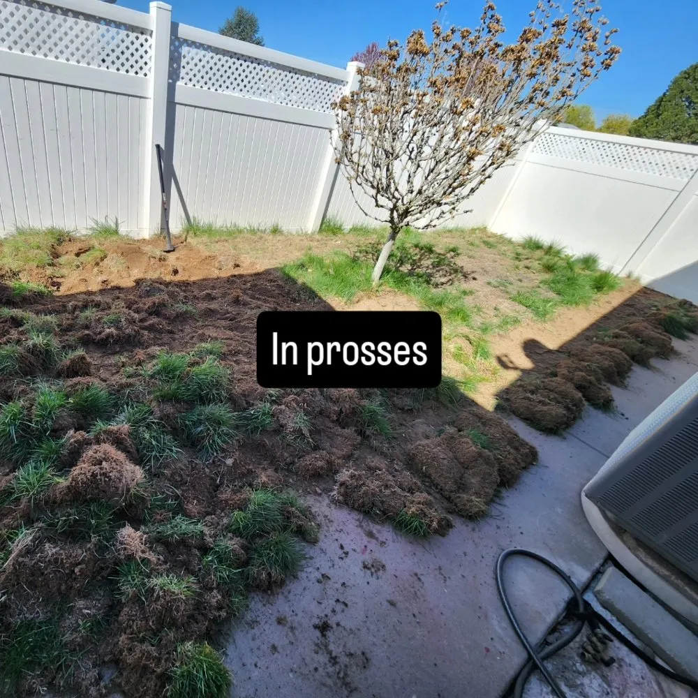 Affordable yard cleanup service in Yakima, WA - Salazar's Lawn Care