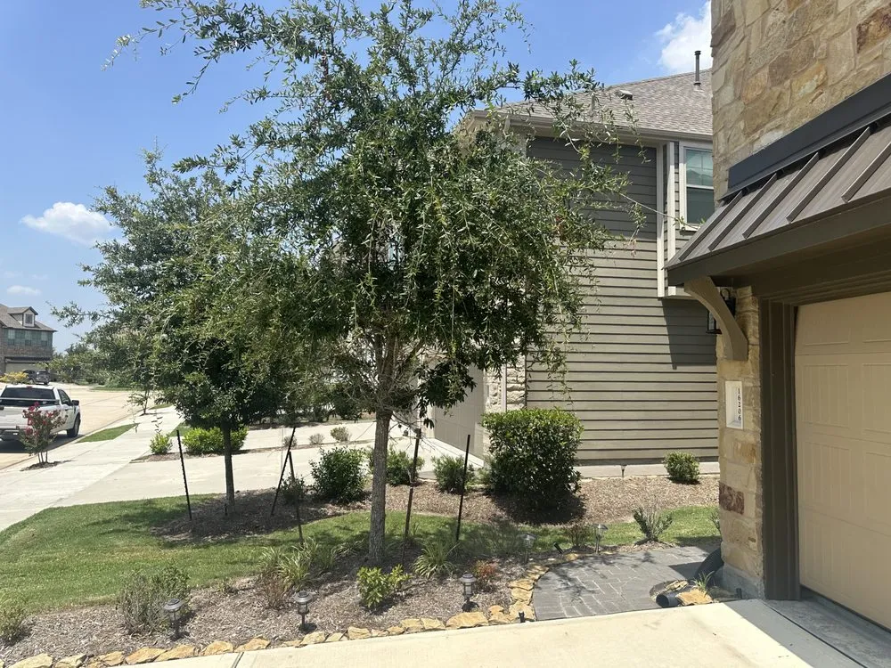 Top-rated yard maintenance experts serving Houston, TX - Salcantar Landscaping