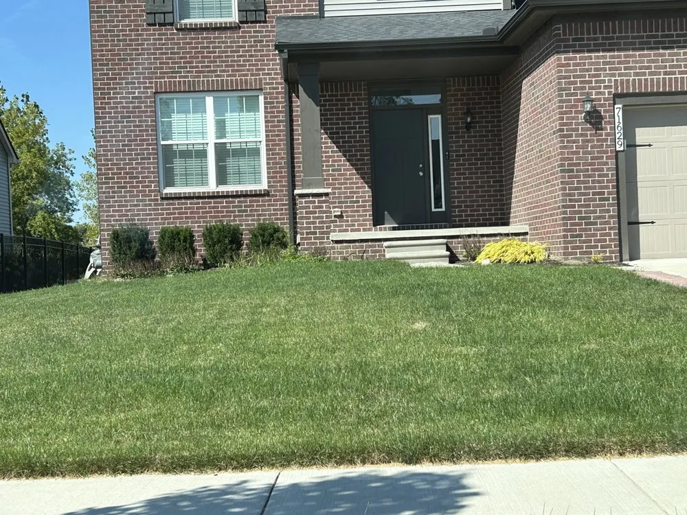 Top-rated yard cleanup service in Imlay City, MI - Salcedo landscape