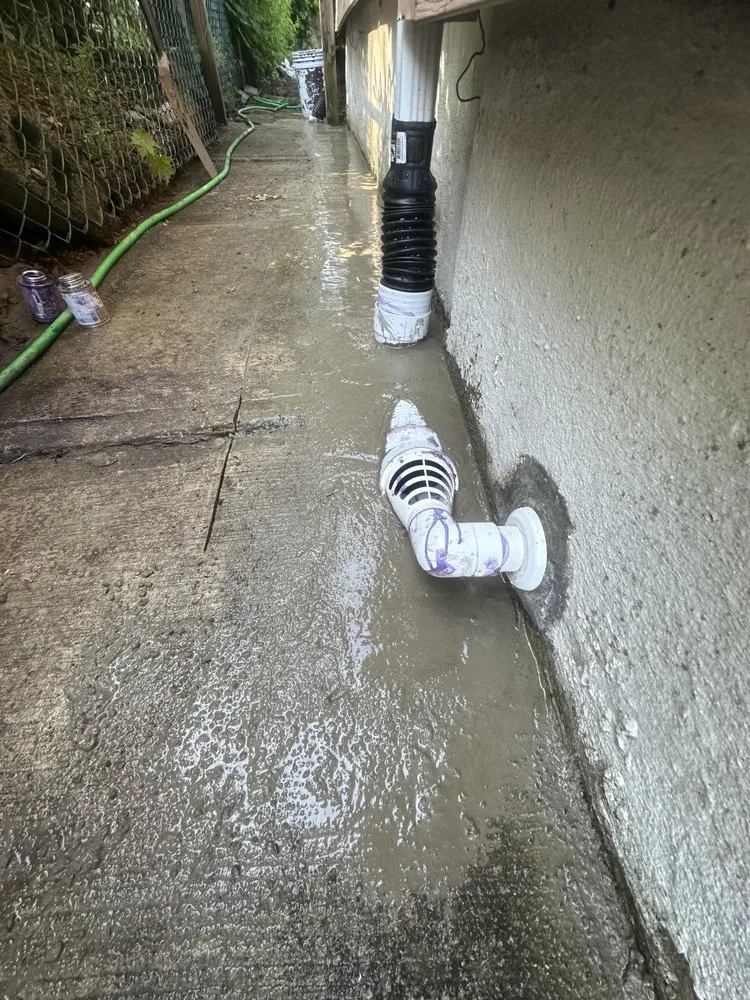 Affordable landscaping services for beautiful yards in Paterson, NJ by Salcedo Platinum Services