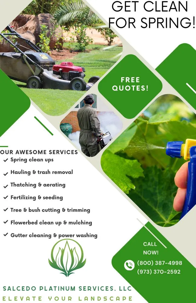 Custom landscape installation for beautiful yards across Paterson, NJ - Salcedo Platinum Services