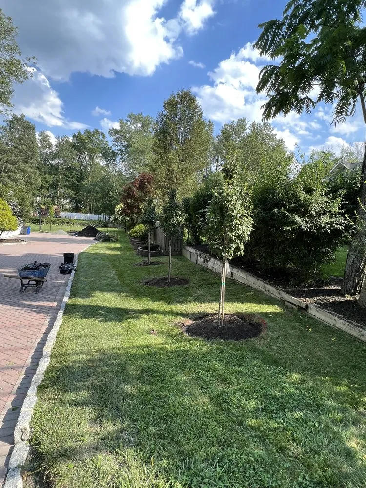 Trusted yard cleanup service for homes across Paterson, NJ - Salcedo Platinum Services