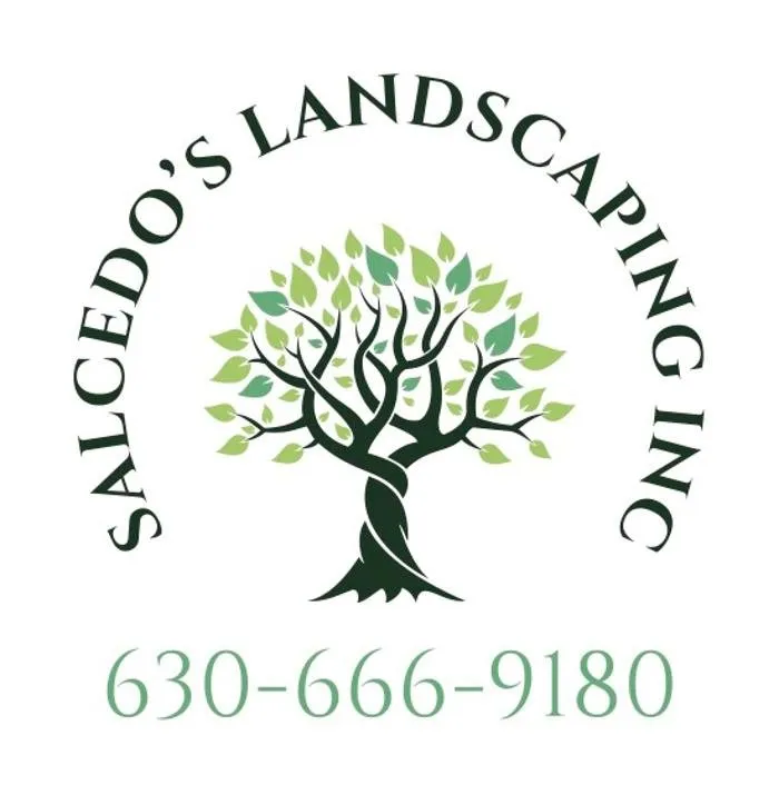Custom residential landscaping in Bolingbrook, IL - Salcedo's Landscaping
