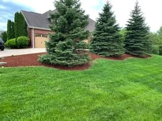 Expert yard cleanup service for beautiful yards across Bolingbrook, IL - Salcedo's Landscaping