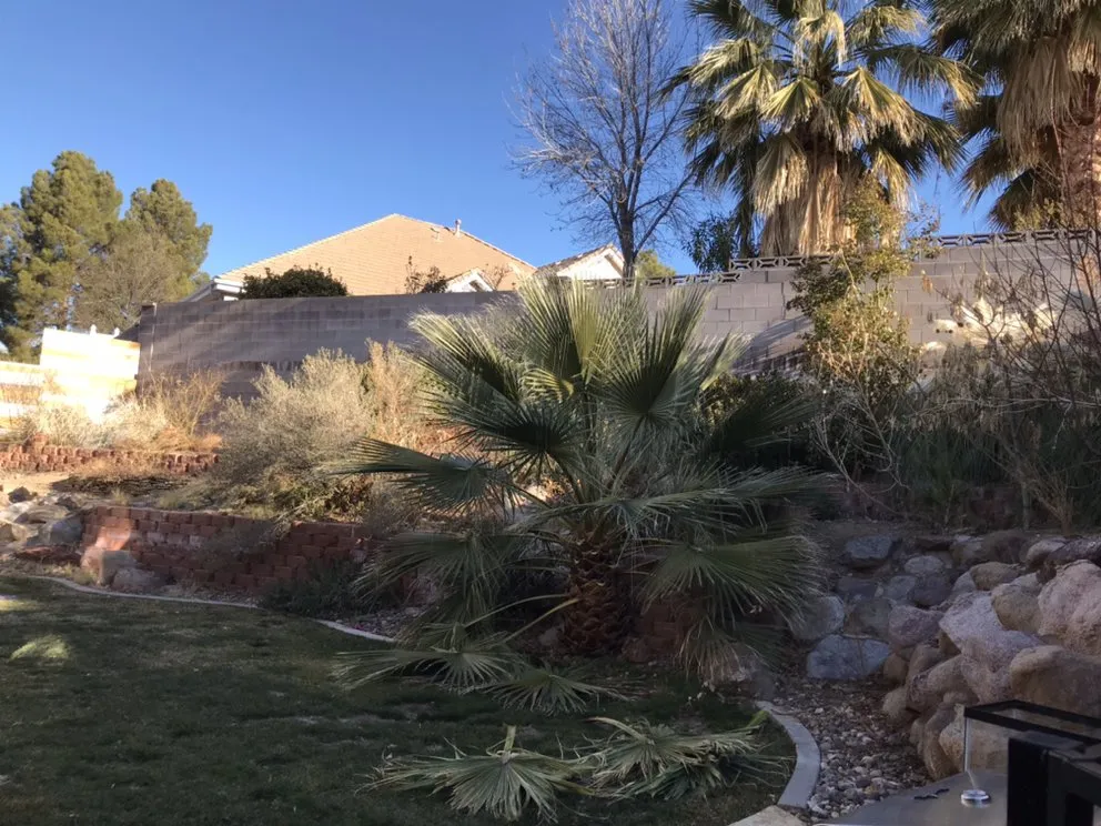 Trusted yard cleanup service near you across La Verkin, UT - Salcedo’s Lawn and Pool Service