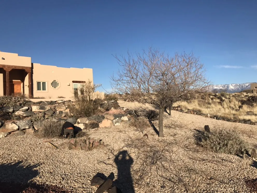 Affordable residential landscaping in La Verkin, UT by Salcedo’s Lawn and Pool Service