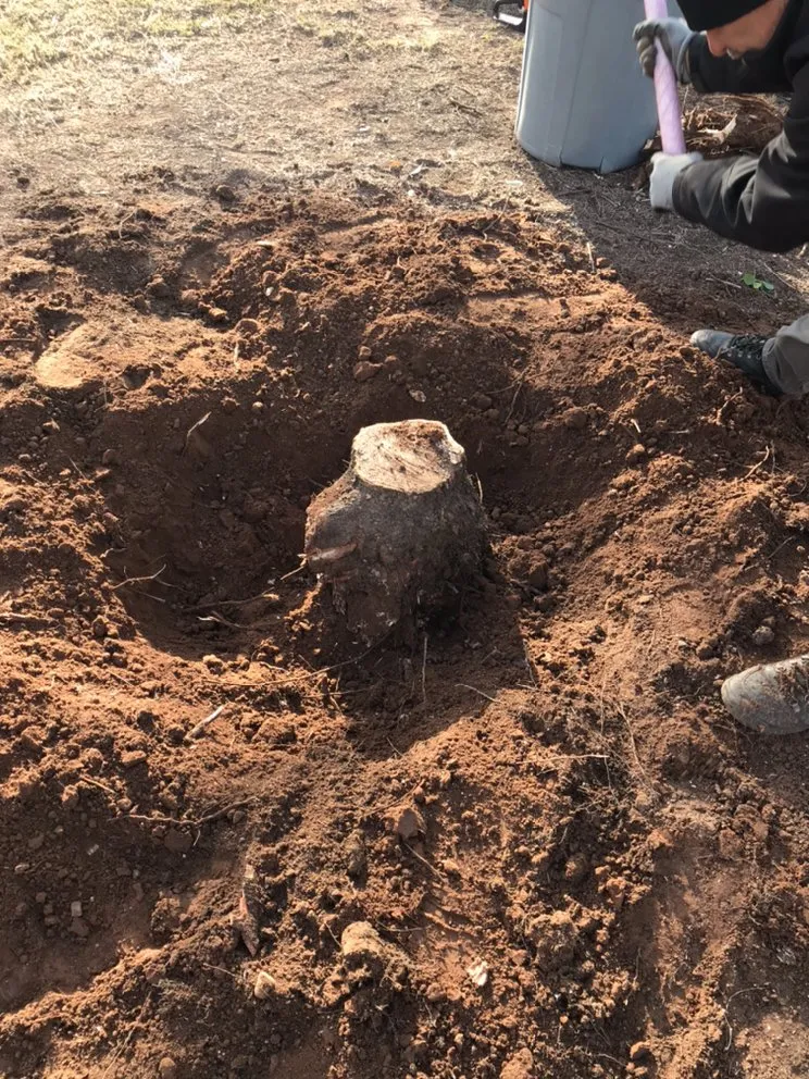 Custom garden landscaping in La Verkin, UT - Salcedo’s Lawn and Pool Service