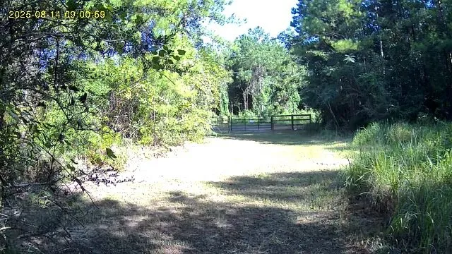 Expert yard cleanup service for homes in Axis, AL by Salco 80 Lawn Management