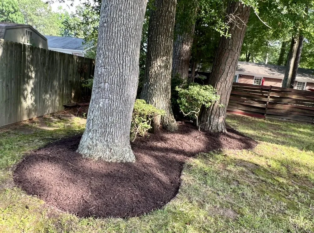 Trusted garden landscaping in Norfolk, VA - Salco Home Services