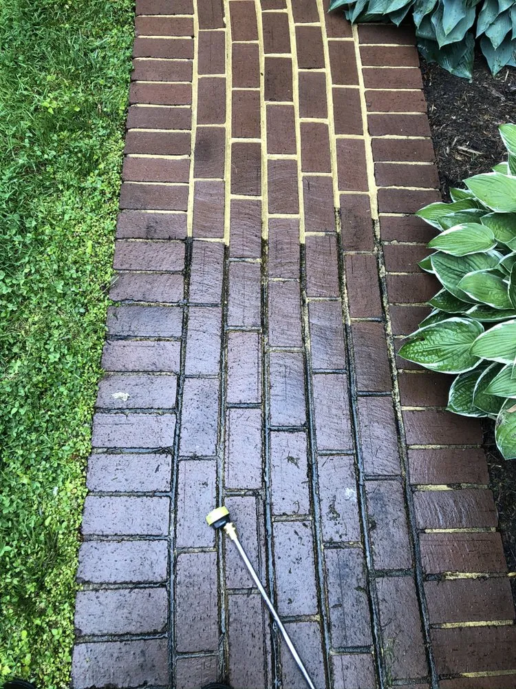 Local yard cleanup service for homes in Norfolk, VA by Salco Home Services