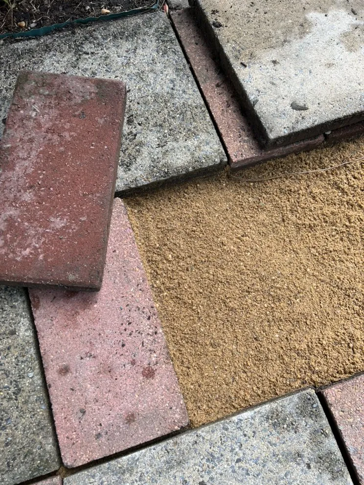 Expert landscaping services with custom design in Norfolk, VA by Salco Home Services