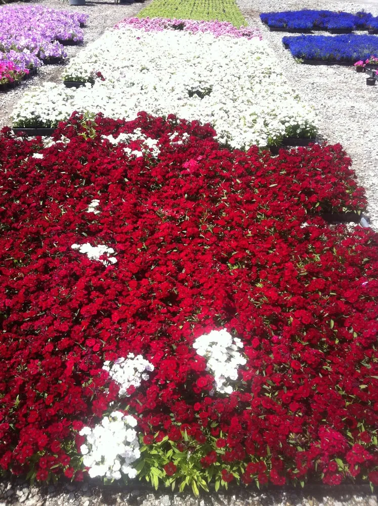 Custom garden landscaping experts serving Lakewood, CA - Salco Landscape Services & Growers