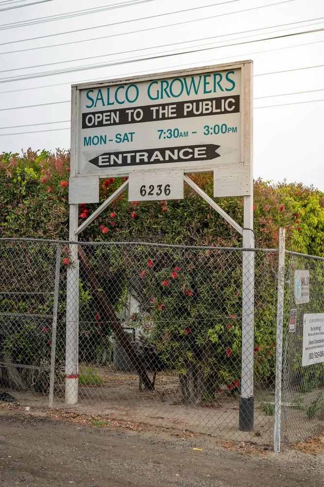 Expert landscape installation for homes across Lakewood, CA - Salco Landscape Services & Growers