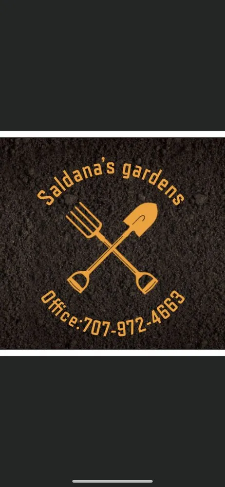 Professional landscape design in Lakeport, CA - Saldana gardens