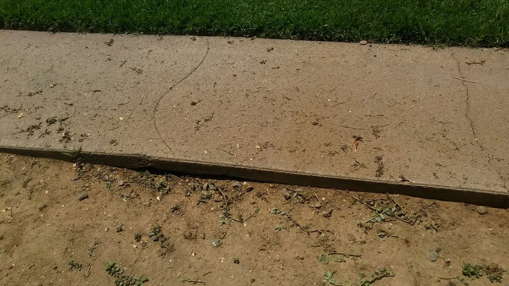 Professional landscaping services near you in Elk Grove, CA by Saldana Landscape & Maintenance