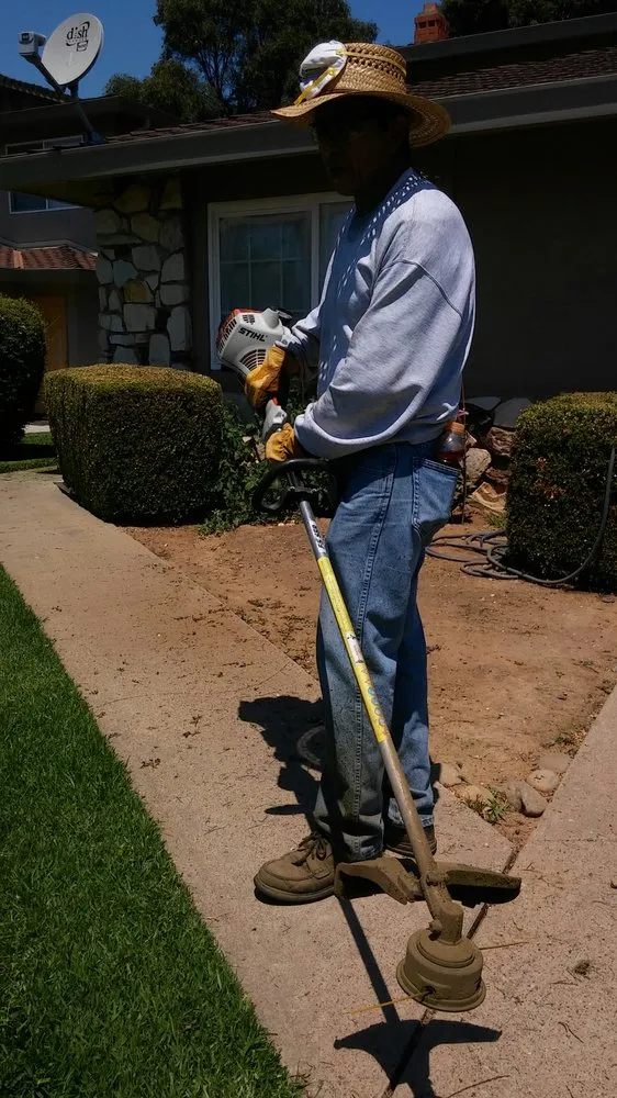 Top-rated lawn mowing service near you in Elk Grove, CA by Saldana Landscape & Maintenance