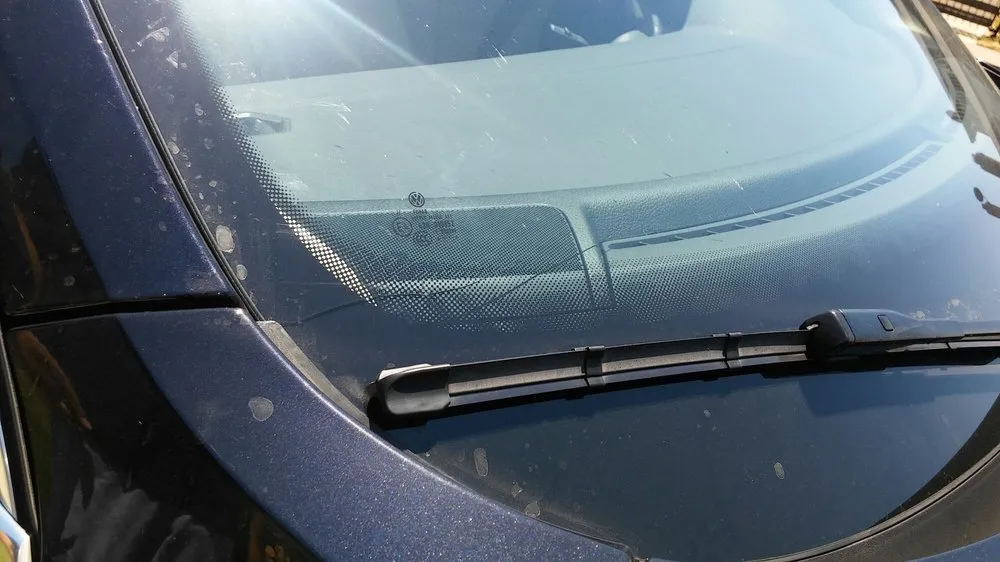 Affordable lawn care service in Elk Grove, CA - Saldana Landscape & Maintenance