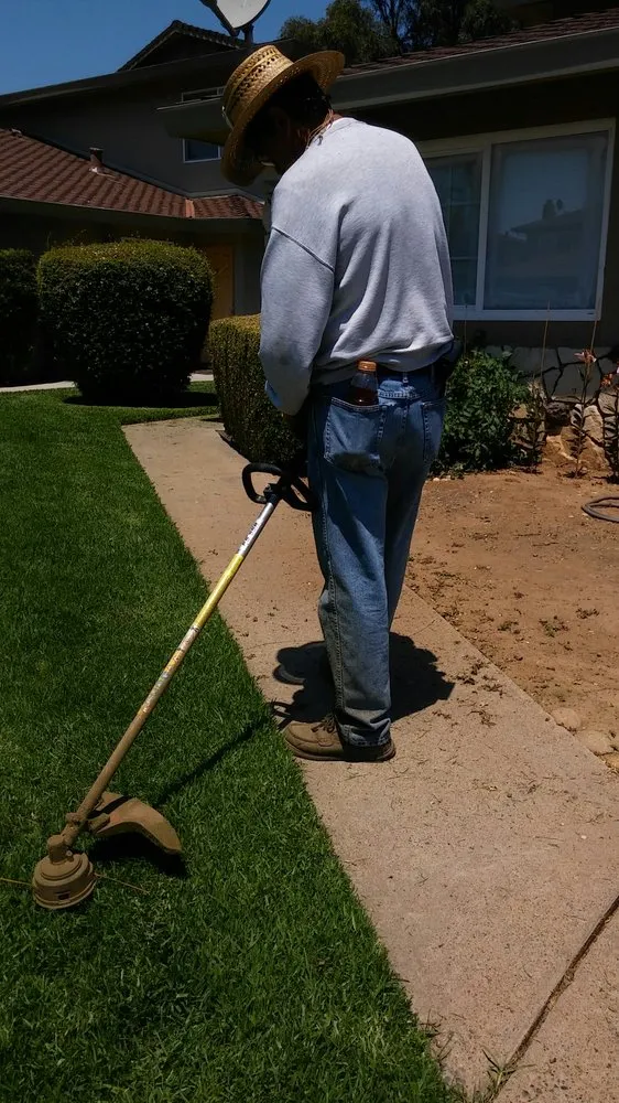 Affordable yard cleanup service in Elk Grove, CA by Saldana Landscape & Maintenance