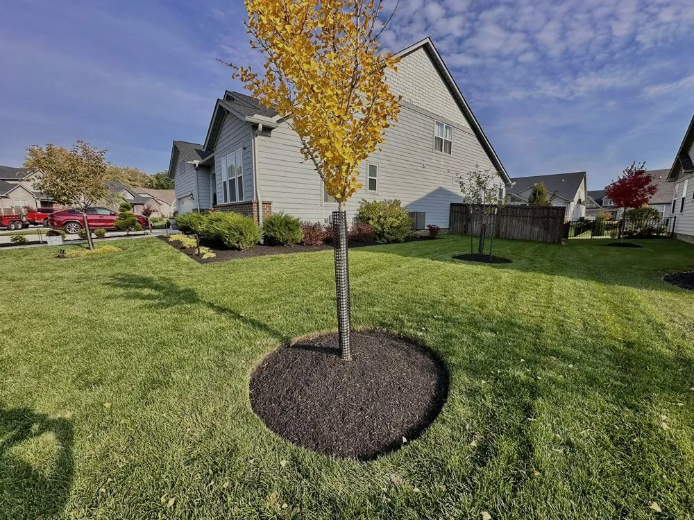 Affordable landscaping services experts serving Painesville, OH - Saldana Landscaping