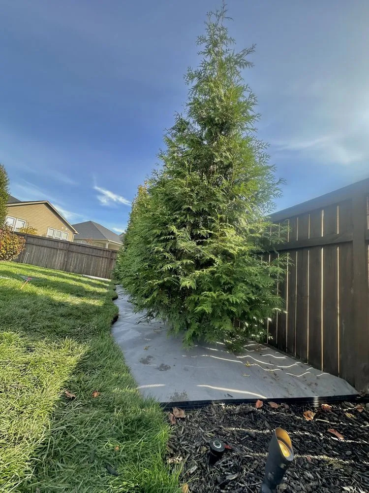 Reliable yard cleanup service experts serving Painesville, OH - Saldana Landscaping