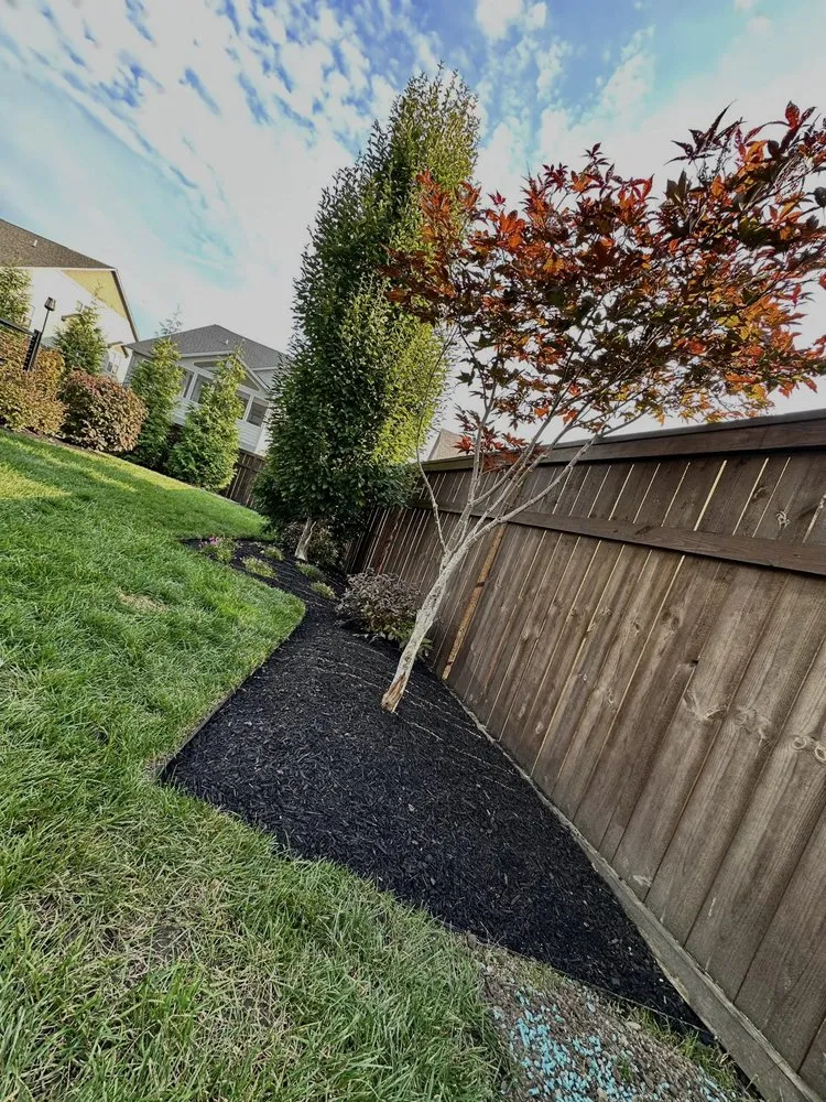 Affordable lawn care service in Painesville, OH by Saldana Landscaping