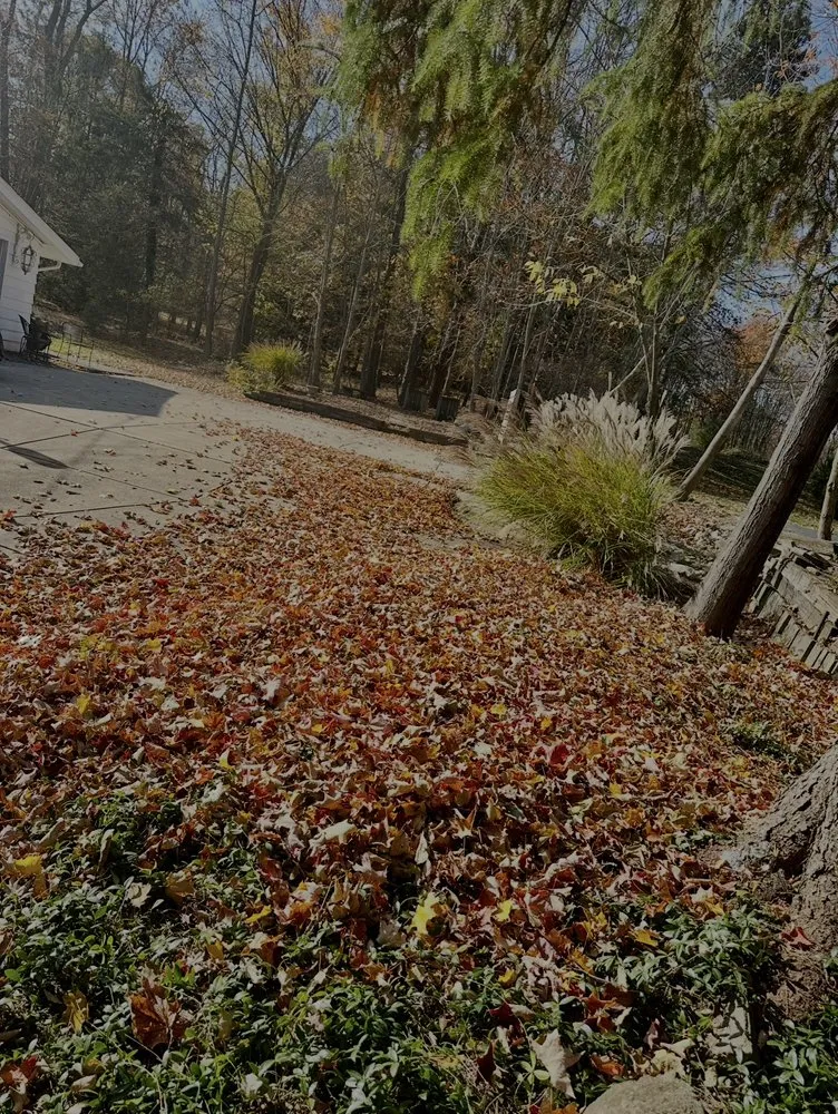 Professional lawn mowing service experts serving Painesville, OH - Saldana Landscaping