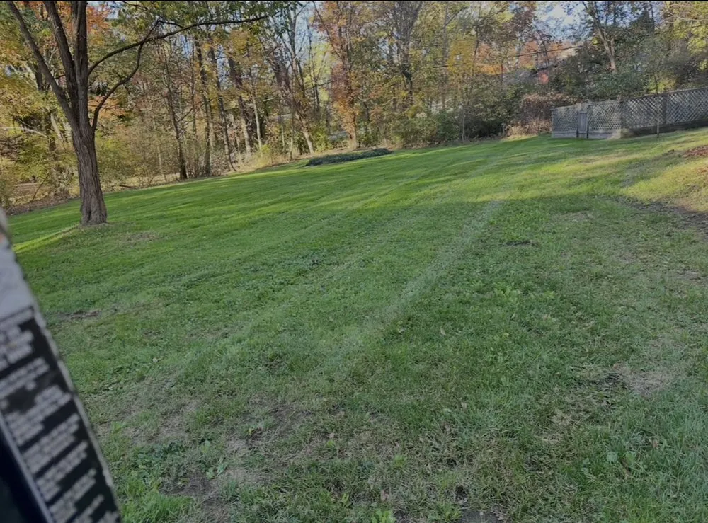 Affordable residential landscaping in Painesville, OH by Saldana Landscaping