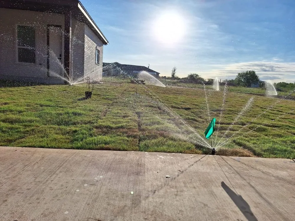 Professional landscaping services in Edinburg, TX by Saldana Pro