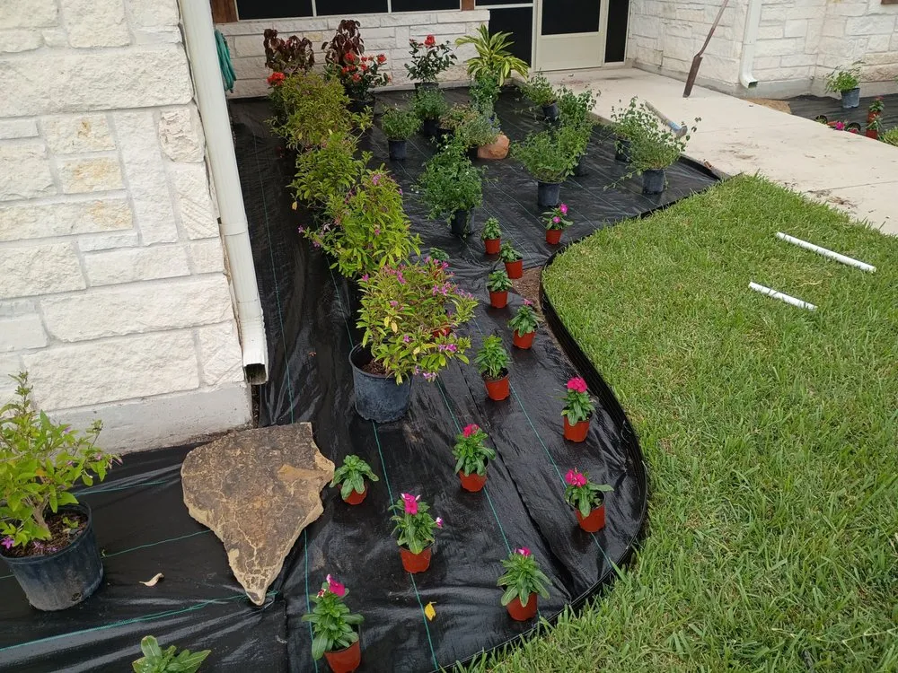 Affordable residential landscaping for outdoor upgrades in Edinburg, TX by Saldana Pro