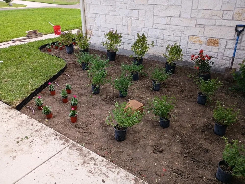 Expert lawn care service with custom design across Edinburg, TX - Saldana Pro