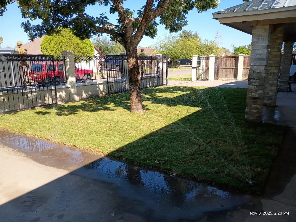 Affordable lawn care service in Edinburg, TX by Saldana Pro