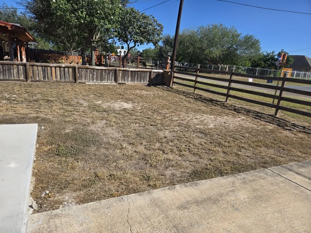 Top-rated landscaping services with custom design in Edinburg, TX by Saldana Pro