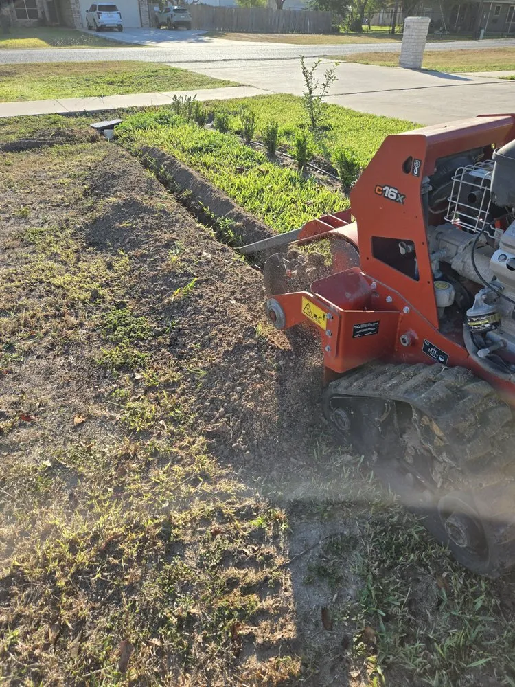 Trusted landscaping services in Edinburg, TX by Saldana Pro