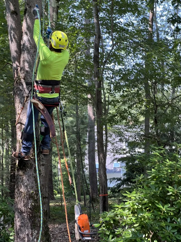 Custom residential landscaping experts serving Brunswick, ME - Saldana Tree Services & Landscaping