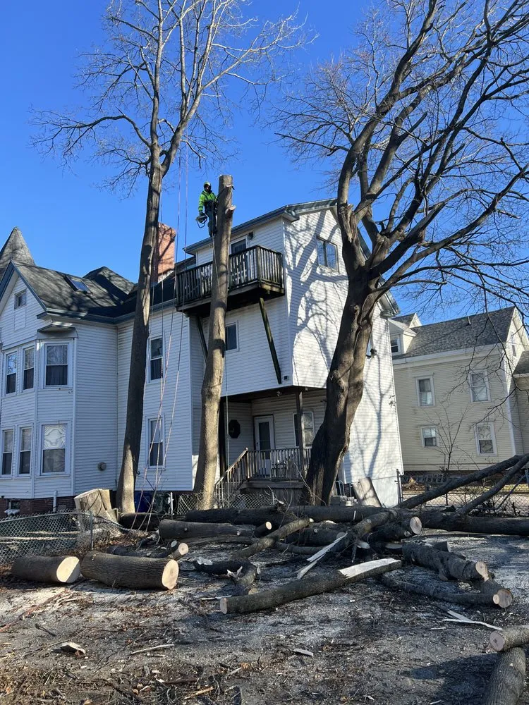 Reliable lawn mowing service for year-round maintenance in Brunswick, ME by Saldana Tree Services & Landscaping