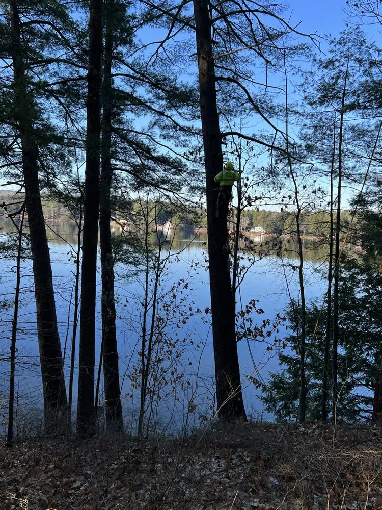 Reliable yard cleanup service in Brunswick, ME by Saldana Tree Services & Landscaping