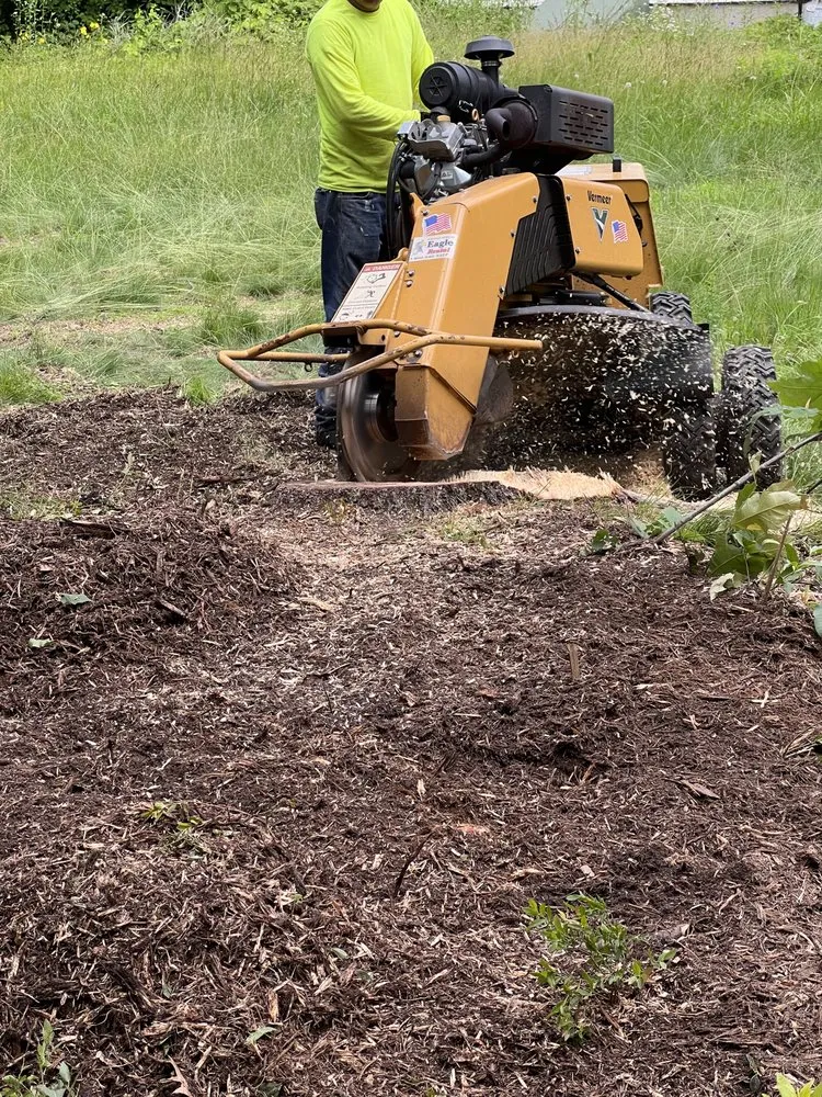 Affordable yard maintenance near you in Brunswick, ME by Saldana Tree Services & Landscaping