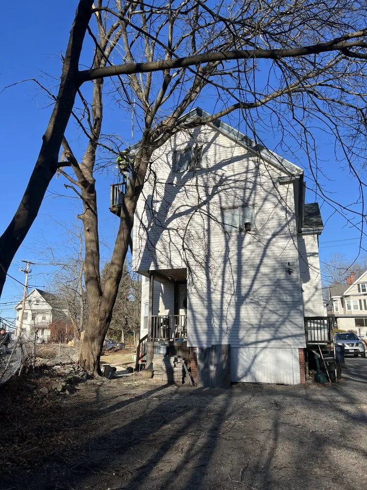 Expert landscape installation for outdoor upgrades across Brunswick, ME - Saldana Tree Services & Landscaping