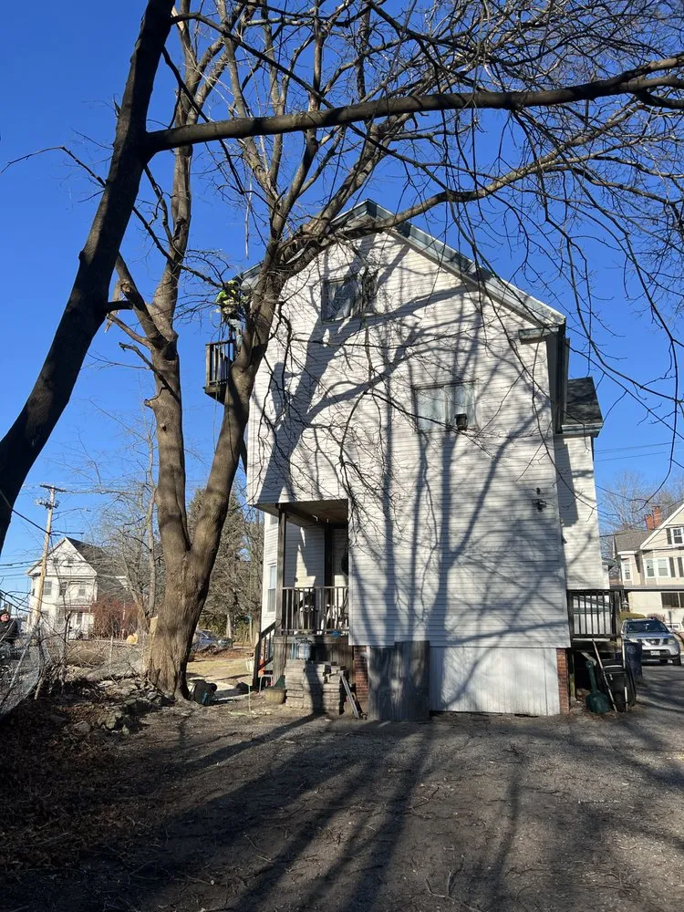 Professional landscaping services experts serving Brunswick, ME - Saldana Tree Services & Landscaping