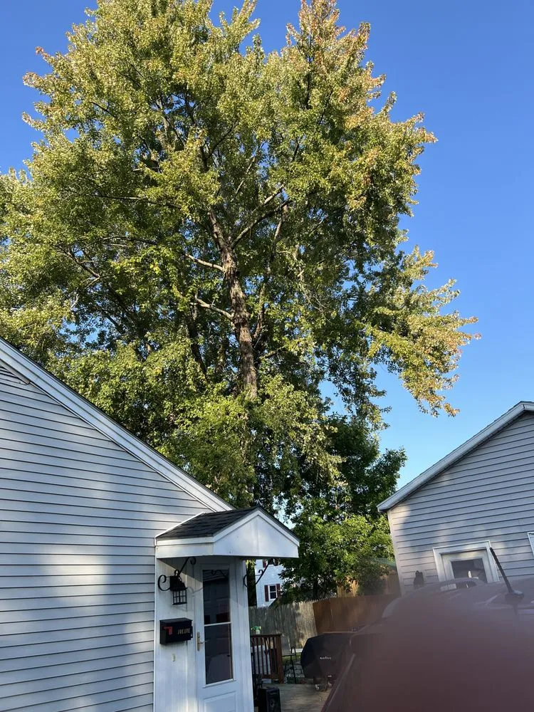 Professional landscape design in Brunswick, ME by Saldana Tree Services & Landscaping