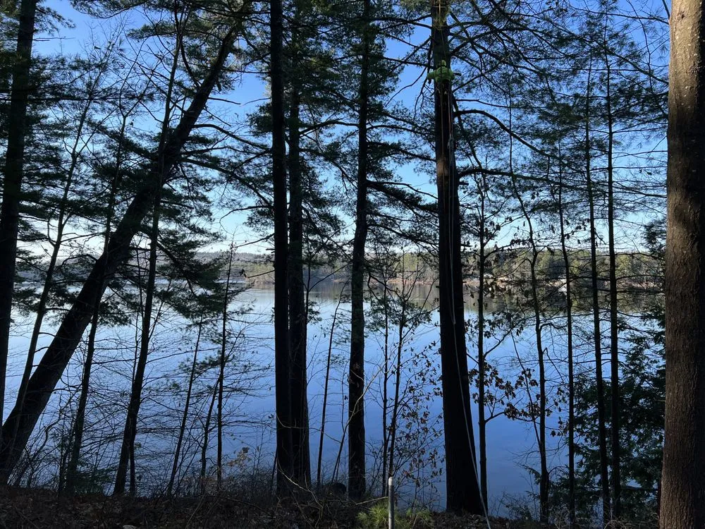 Affordable residential landscaping in Brunswick, ME by Saldana Tree Services & Landscaping