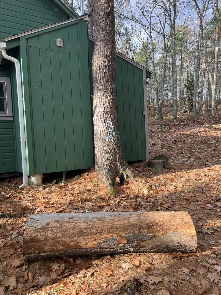 Expert garden landscaping with custom design across Brunswick, ME - Saldana Tree Services & Landscaping