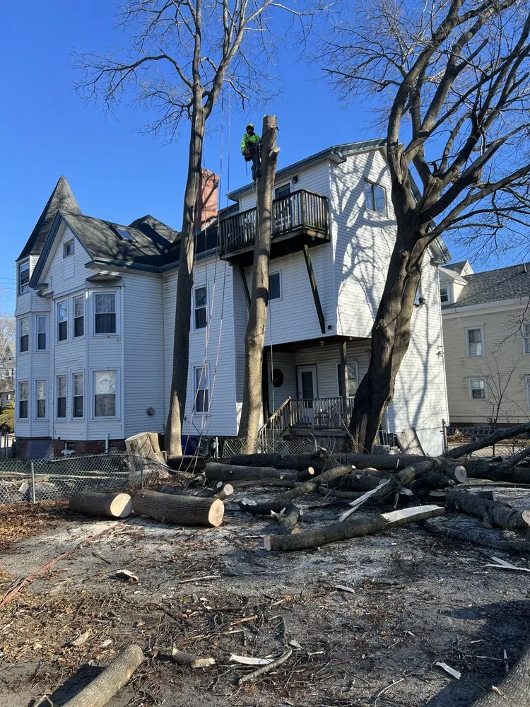 Trusted outdoor landscaping for outdoor upgrades across Brunswick, ME - Saldana Tree Services & Landscaping