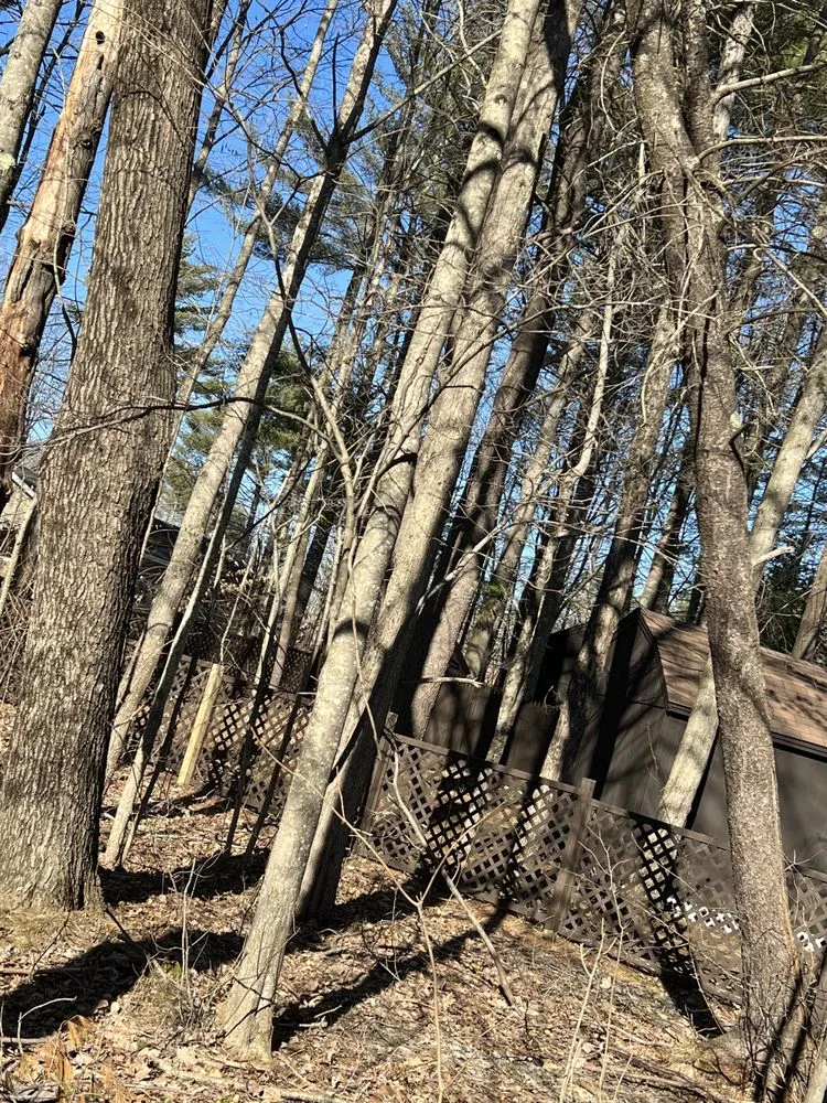 Local outdoor landscaping experts serving Brunswick, ME - Saldana Tree Services & Landscaping